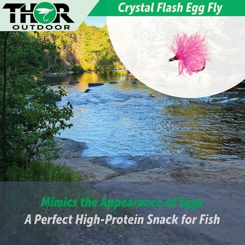 Thor Outdoor Crystal Flash Egg Fly with Case - Wet Fishing Flies for Steelhead Trout, Salmon, Panfish, Bluegill in Kuwait