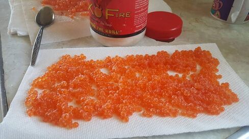 بوتسكي بيت بوراكس أوفاير (برتقالي، 28 أونصة) in Kuwait