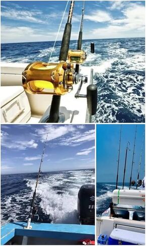 Norsea Fishing Rod Holder White Plastic with UV Resistant 90 Degree Flush Mount 4PCS for Yacht and Boats in Kuwait