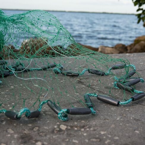 شبكة صب البوري من بيت باستر مقاس 1-1/4 بوصة مربعة in Kuwait