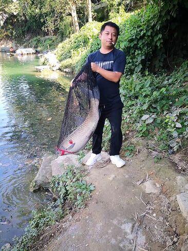 شبكة حقيبة صيد الأسماك بالرمح، شبكة صيد محمولة، سلة Fsih، شبكة صيد الأسماك، قفص Fsih، للغوص وصيد الأسماك، ملحقات صيد الأسماك على شكل جراد الصيادين in Kuwait