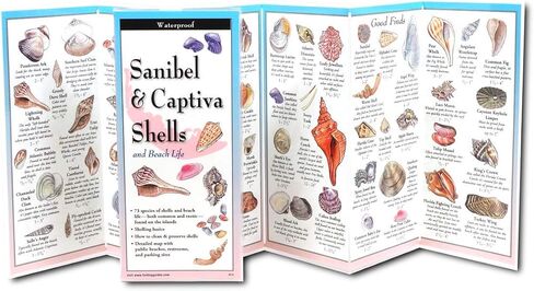 Earth Sky + Water FoldingGuide™ - Sanibel & Captiva Shells and Beach Life - 10 Panel Foldable Laminated Nature Identification Guide in Saudi Arabia