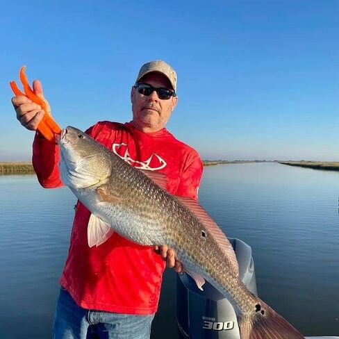 Four Horsemen Boom Boom Shrimp Plastic Bait Made in USA Saltwater Fishing Lures for Speckled Trout, Redfish - 1/8 Deathgrip Jighead Hook - Contains 2 Swimbaits in Saudi Arabia