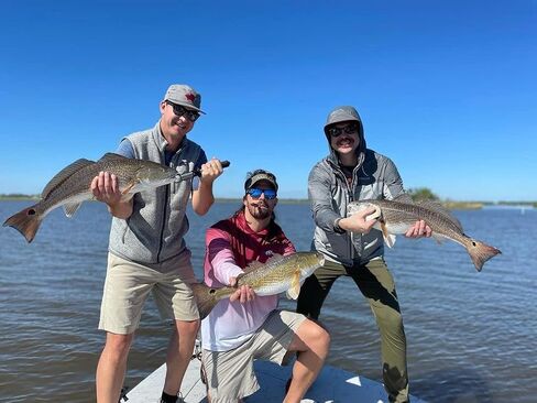 Four Horsemen Boom Boom Shrimp Plastic Bait Made in USA Saltwater Fishing Lures for Speckled Trout, Redfish - 1/8 Deathgrip Jighead Hook - Contains 2 Swimbaits in Saudi Arabia