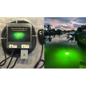 Saltwater Approved Barnacle Burner Underwater Fish Light, 250 Watt Extreme Brilliant Green 21,000 Lumens Single Dock Light 50' Marine Grade Lamp Cable, Automatic Dusk to Dawn, Easy Self Installation. in Saudi Arabia