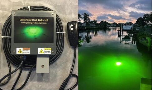 Saltwater Approved Barnacle Burner Underwater Fish Light, 250 Watt Extreme Brilliant Green 21,000 Lumens Single Dock Light 50' Marine Grade Lamp Cable, Automatic Dusk to Dawn, Easy Self Installation. in Saudi Arabia