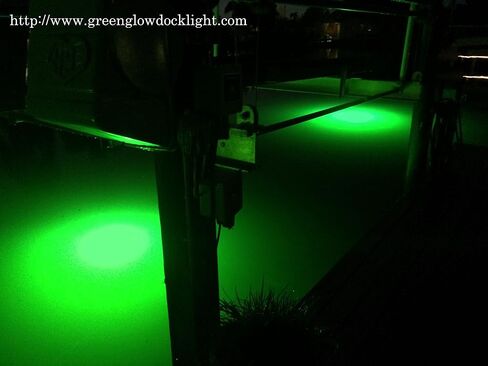 Saltwater Approved Barnacle Burner Underwater Fish Light, 250 Watt Extreme Brilliant Green 21,000 Lumens Single Dock Light 50' Marine Grade Lamp Cable, Automatic Dusk to Dawn, Easy Self Installation. in Saudi Arabia