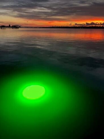 Saltwater Approved Barnacle Burner Underwater Fish Light, 250 Watt Extreme Brilliant Green 21,000 Lumens Single Dock Light 50' Marine Grade Lamp Cable, Automatic Dusk to Dawn, Easy Self Installation. in Saudi Arabia