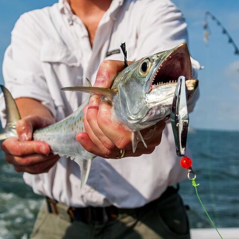 200 قطعة من خرزات الصيد المتوهجة من M METERXITY - أدوات طُعم بيض مستديرة بلاستيكية مضيئة توضع على أداة المعالجة الخارجية (6 مم، أحمر) in Kuwait