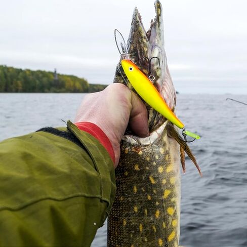 DEILAI 50 قطعة خشخيشات الصيد دودة تهزهز يطير الصيد إغراء إدراج أنبوب البلاستيك هزة الكرة المعدنية جذب يطير التعادل ربط in Kuwait