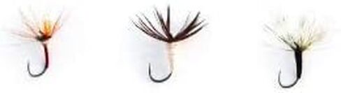 Beartooth Rod Package in Kuwait