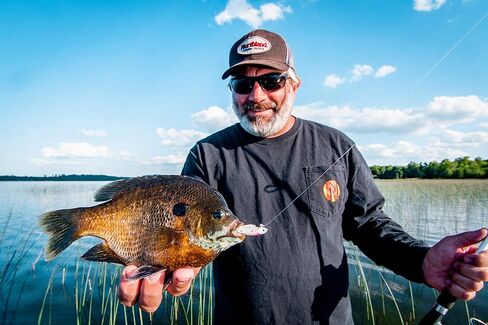 طقم مقصورة صيد السمك من نورثلاند، 10 قطع، طُعم ممتاز منتقاة بعناية، لأي صياد، اصطياد المزيد من الكرابي، والجثم، والبلوجيل، جاهز للمياه العذبة in Kuwait
