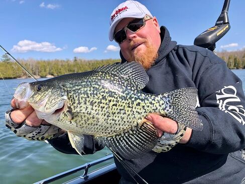 طقم مقصورة صيد السمك من نورثلاند، 10 قطع، طُعم ممتاز منتقاة بعناية، لأي صياد، اصطياد المزيد من الكرابي، والجثم، والبلوجيل، جاهز للمياه العذبة in Kuwait