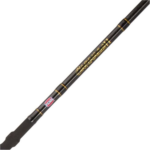 Penn Carnage II & Carnage III Surf Conventional Fishing Rod in Kuwait
