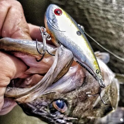 Booyah Hard Knocker Bass Fishing Crankbait Lure in Saudi Arabia