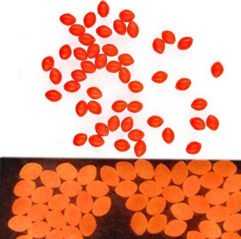 QHDJIANHUI Glow Fishing Bead Oval Rubber Bait Eggs Soft Luminous Fishing Line Ball Stopper Saltwater Freshwater Salmon Trout Fishing Tackle in Saudi Arabia