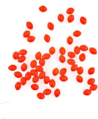 QHDJIANHUI Glow Fishing Bead Oval Rubber Bait Eggs Soft Luminous Fishing Line Ball Stopper Saltwater Freshwater Salmon Trout Fishing Tackle in Saudi Arabia