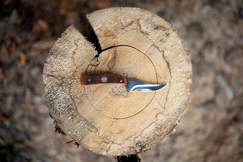 Old Timer Generational USA Series Traditional Fixed and Folding Knives with 1095 HC Stainless Steel Blades, Sawcut Bone Handles, and Made in USA for Hunting, Skinning, EDC, Field Dressing, and Outdoor in Kuwait