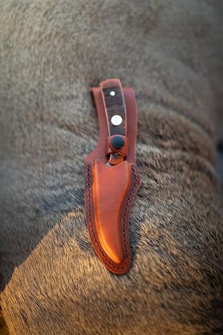 Old Timer Generational USA Series Traditional Fixed and Folding Knives with 1095 HC Stainless Steel Blades, Sawcut Bone Handles, and Made in USA for Hunting, Skinning, EDC, Field Dressing, and Outdoor in Kuwait