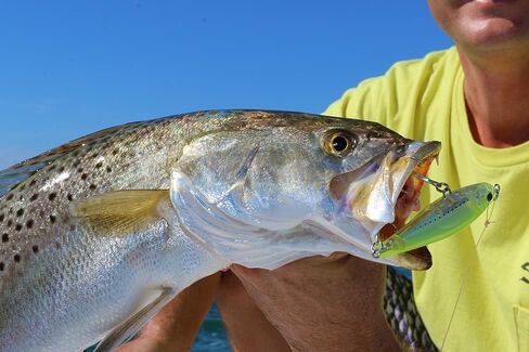 Yo-Zuri R1208-HGBL 3D Inshore Twitchbait, Color, Gold Black, 90mm 3-1/2" in Saudi Arabia