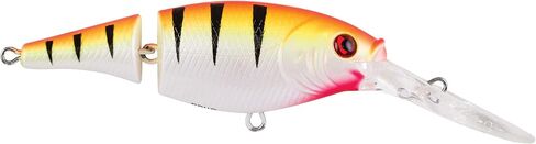 Berkley Flicker Shad Jointed Fishing Lure, Sunset Perch, 1/3 oz, 2 3/4in | 7cm Crankbaits, Size, Profile and Dive Depth Imitates Real Shad, Equipped with Fusion19 Hook in Saudi Arabia
