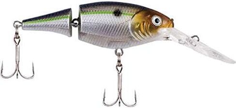Berkley Flicker Shad Jointed Fishing Lure, Sunset Perch, 1/3 oz, 2 3/4in | 7cm Crankbaits, Size, Profile and Dive Depth Imitates Real Shad, Equipped with Fusion19 Hook in Saudi Arabia