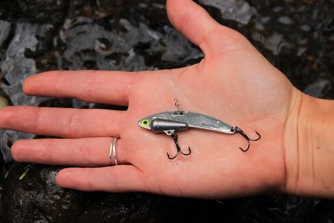 SteelShad - Heavy Series 1/2 oz. Bass Fishing Lures - Lipless Crankbait for Freshwater Fishing - Perfect for Smallmouth & Largemouth Bass, Walleye, Pike & Trout - Heavy Series in Kuwait