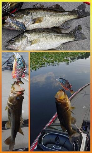 طعوم سباحة صن رايز أنجلر متعددة المفاصل | طُعم السباحة الغارق لصيد سمك السلمون المرقط في المياه العذبة والمياه المالحة in Kuwait