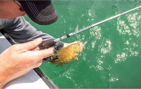 Abu Garcia 7’ Vengeance Spinning Fishing Rod, 1-Piece Rod, 7’ Spinning Rod for All Types of Fishing in Saudi Arabia