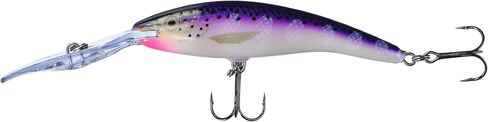 Rapala Deep Tail Dancer 11 Fishing lure, 4.375-Inch, Purpledescent in Saudi Arabia