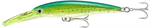 Rapala in Saudi Arabia