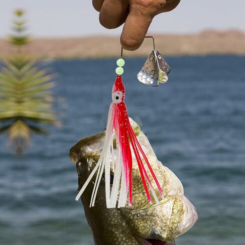 Trout Bass Fishing Baits Kit, Squid Swimbait Fishing Lures in Saudi Arabia