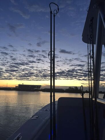 ألياف الكربون من كودا in Kuwait