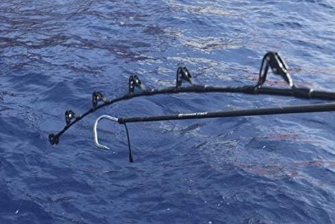 ألياف الكربون من كودا in Kuwait