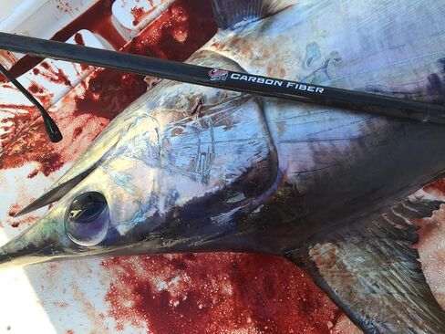 ألياف الكربون من كودا in Kuwait