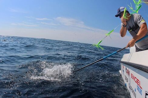 ألياف الكربون من كودا in Kuwait