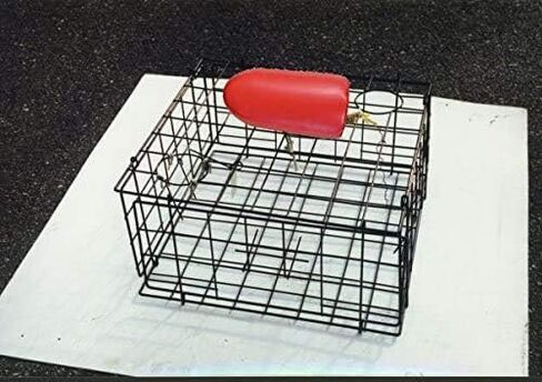 Jezero 5x11-Inch Float in Kuwait