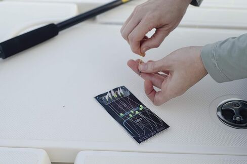 بلاك انكور مجموعة سابيكي من المياه المالحة - 2 مزيل مياه عائمة، 3 من كل رقم 4، #6، #8 سابيكي، 2 وزن رفيع للخيوط، 1 من كل 1 اونصة، 2 اونصة، 3 اونصة، 3 من كل خطاف دائري 1/0، 2/0، 3/0 in Kuwait