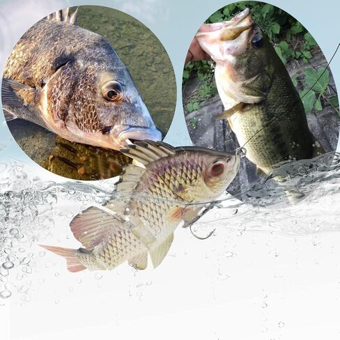 ODS Lure 5.9" Multi Jointed Swimbait with Fiber Tail for Bass Walleye Muskie Trout Fishing Tackle Lifelike in Kuwait