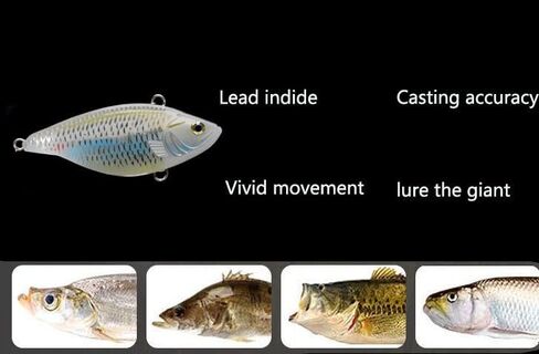 10PCS Unpainted Fishing Lure Blank Fishing Lure Bodies VIB Lure DIY Lure in Saudi Arabia