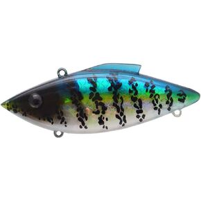 يجذب بيل لويس اهتزازات نابضة بالحياة in Kuwait