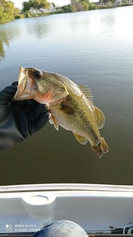 Nataly Fishin Lures الصيد السحر لباس سمك السلمون المرقط، طعوم سباحة متعددة المفاصل، طُعم سباحة بيونيك بطيء الغرق للمياه العذبة المالحة باس بايك كرابي، طقم طُعم صيد نابض بالحياة in Kuwait