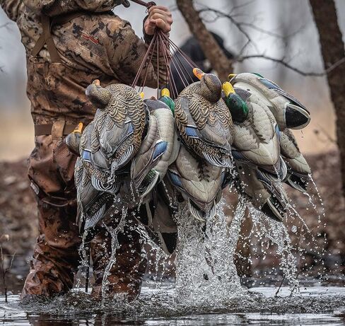 لايف تايم ديكوز 6 أقدام 1.8 أونصة مغلفة من البولي فينيل كلورايد كابل فولاذ تكساس ريج ديكوري - 6 قطع in Kuwait