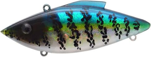 يجذب بيل لويس اهتزازات نابضة بالحياة in Kuwait