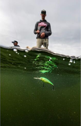 طُعم صيد السمك الصلب من بيركلي كرانكبيت in Kuwait