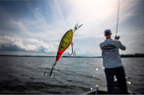 طُعم صيد السمك الصلب من بيركلي كرانكبيت in Kuwait