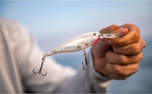 طُعم صيد السمك الصلب من بيركلي كرانكبيت in Kuwait