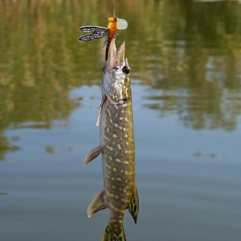 Topwater Dragonfly Fishing Lures Realistic Insect Design Bait with Hooks in Kuwait