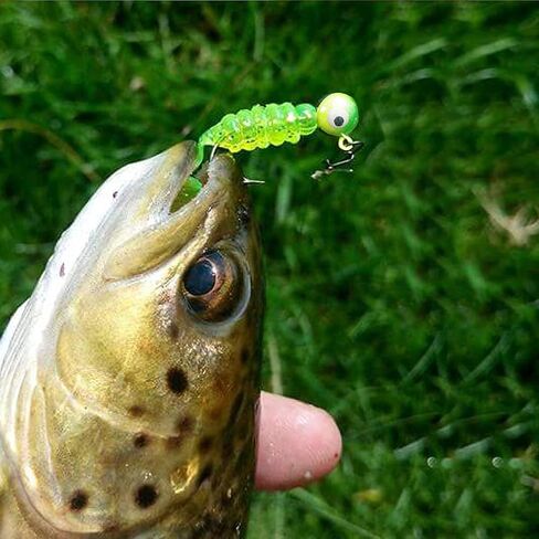 BEELAXY Fishing Lures Jig Heads , Sharp Fishing Hooks for Bass Trout Freshwater,Saltwater Multi Pack in Saudi Arabia