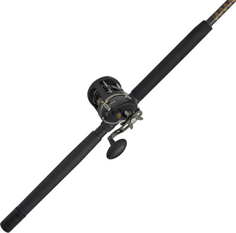 PENN 6'6" Squall II Level Wind Saltwater Rod and Reel Fishing Combo, 1-Piece Fishing Rod, Black/Gold in Saudi Arabia
